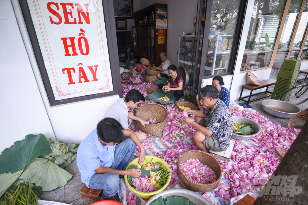 sen-3-083138_56.jpg Quanh khu vực Hồ Tây, Hồ Quảng Bá, có nhiều gia đình chuyên nghề làm trà. Vào chính vụ sen, trà không chỉ ướp khô với gạo sen mà còn được ướp tươi ngay trong búp. Trà sen Hồ Tây là sự hòa quyện giữa hương vị đậm đà của chè với hương thơm ngát rất riêng của gạo sen Bách Diệp.