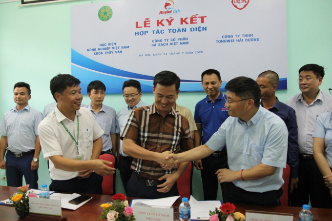 Từ trái sang là PGS.TS Kim Văn Vạn – Trưởng Khoa Thủy Sản Học Viện Nông Nghiệp Việt Nam, ông Nguyễn Xuân Thoan – Chủ tịch HĐQT, Công ty cổ phần cá sạch Việt Nam và ông Deng Xiao Hua – Tổng tài phụ trách khu vực hải ngoại Tập đoàn TongWei ký kết hợp tác phát triển chuỗi cung ứng cá sạch. Ảnh: PV.