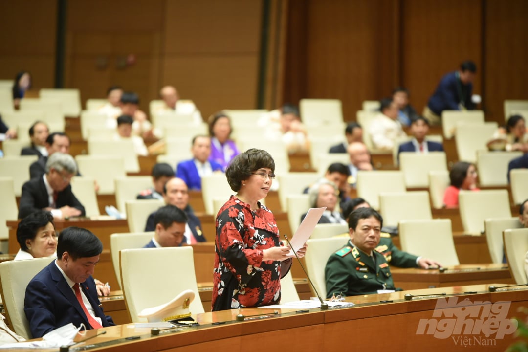 1-172936_535.jpg Doanh nhân Thái Hương chia sẻ tại buổi gặp mặt.