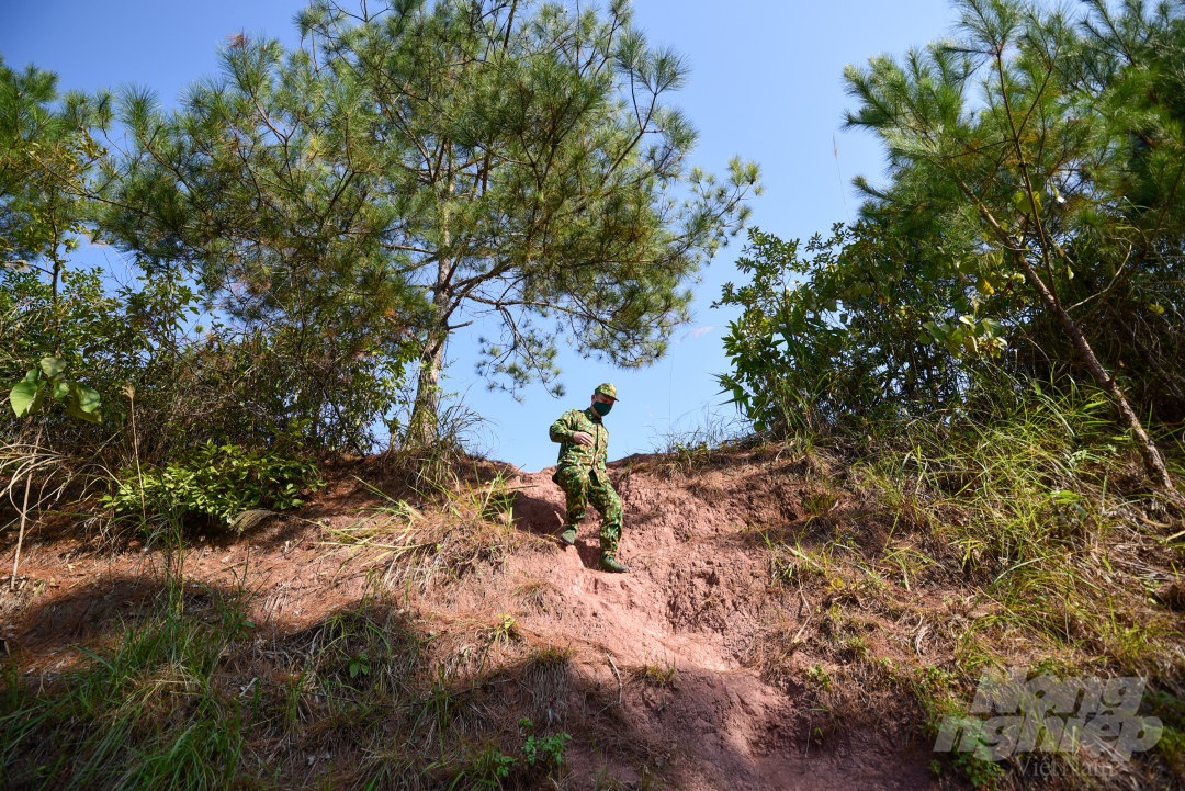 chi-lang-5-113150_649.jpg