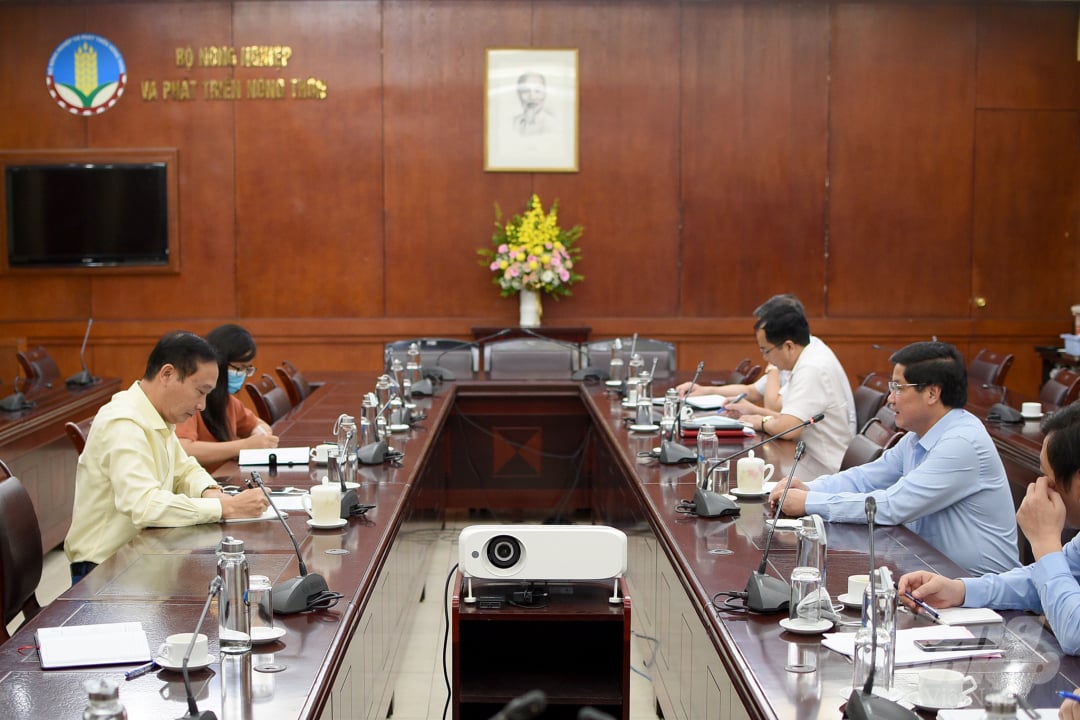 123-123541_20210604_237.jpg Thứ trưởng Lê Quốc Doanh làm việc với Đại sứ Nguyễn Văn Thảo. Ảnh: Tùng Đinh.