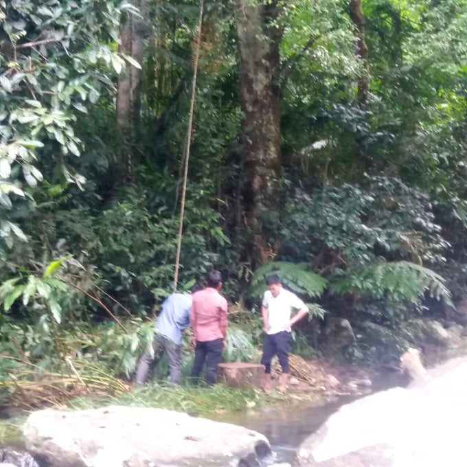 Tiến hành thả khỉ mốc về rừng tự nhiên. Ảnh: Kiểm lâm Bình Định cung cấp.