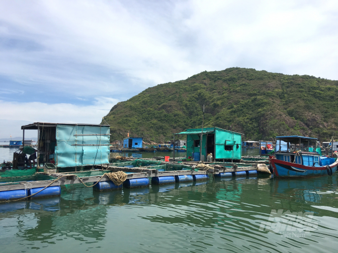 Bình Định khuyến cáo các hộ nuôi trồng thủy sản trên biển cần tăng cường hệ thống dây neo chằng chống bảo vệ bè canh, chòi canh, lồng nuôi. Ảnh: V.Đ.T