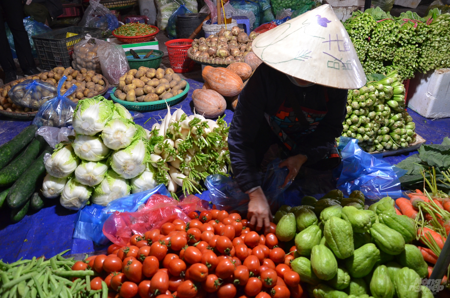 xuyen-dem-tai-cho-dau-moi-thoi-dich-virus-corona-142318_20200212_149.jpg Có đủ loại rau, củ quả đến rau ăn lá.