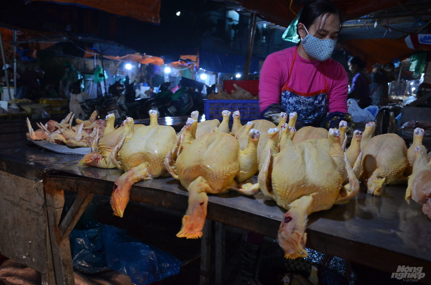 xuyen-dem-tai-cho-dau-moi-thoi-dich-virus-corona-142322_20200212_444.jpg Giá gà công nghiệp hiện giảm chỉ còn 40.000đ/kg.