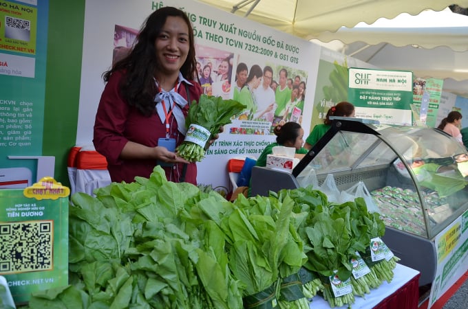 Sản phẩm rau an toàn. Ảnh: NNVN.