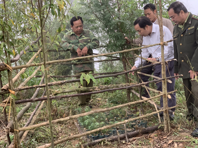 a-tham-khao-3-152420_323.jpeg Ông Vừ Vả Chống và kiểm lâm địa bàn, cán bộ xã Huồi Tụ bên gốc cây cho nhiều hạt, cây giống. Ảnh: Vũ Toàn.