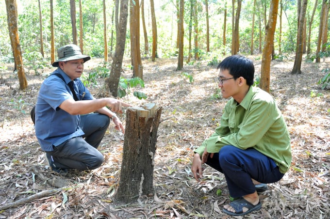 Ông Trương Minh Hùng, Phó Chi cục trưởng Chi cục Kiểm lâm An Giang cho biết, diện tích rừng của tỉnh An Giang chủ yếu tập trung ở khu vực Bảy Núi, đây lại là nơi có nhiều chùa chiền và cơ sở thờ tự, nên nguy cơ xảy ra cháy bất cứ lúc nào, nếu như người dân, khách hành hương thiếu ý thức trong việc sử dụng lửa.