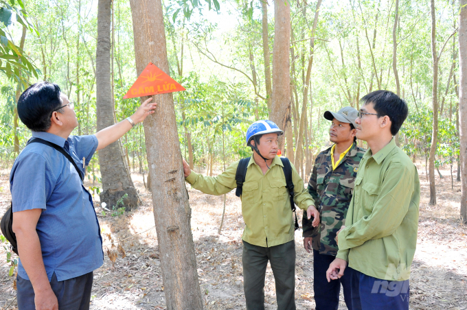 Đồng thời, xây dựng đường băng cản lửa, đốt chủ động, chống cháy lan với tổng diện tích hơn 20 ha như: khu vực Tịnh Biên, Tri Tôn, Thoại Sơn.