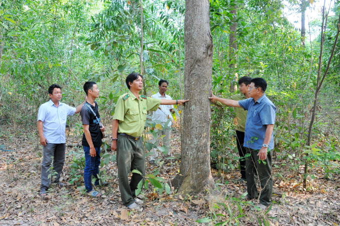 Để phòng chống cháy rừng, từ cuối mùa mưa, Ban quản lý rừng phòng hộ và đặc dụng tỉnh An Giang đã tiến hành kiểm tra, sửa chữa, mua sắm bổ sung các phương tiện, dụng cụ và tiến hành bố trí xuống các chốt bảo vệ rừng.