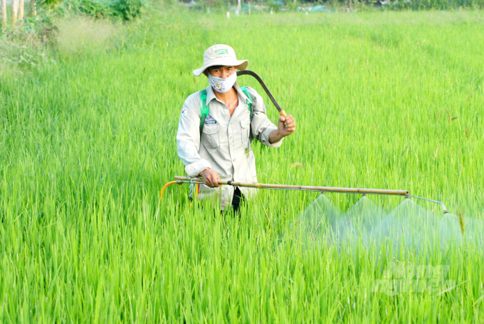 dsc_0534-143724_431.jpg Sử dụng sản phẩm sinh học 'Plastimula 1SL giúp lúa có bộ rễ khỏe vào các giai đoạn đẻ nhánh, làm đòng, trổ lẹt xẹt...Ảnh: Lê Hoàng Vũ.