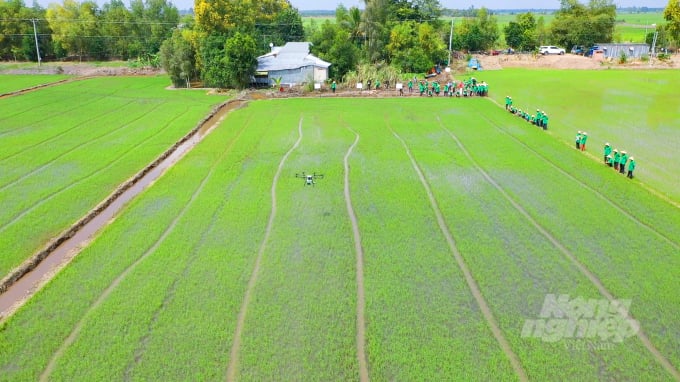 ricefield_mekongdelta-2-155940_673.jpg Nông dân ĐSBCL sản xuất vụ lúa đông xuân 2021-2022. Ảnh: Lê Hoàng Vũ.