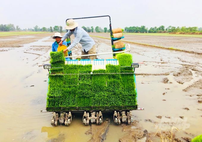 Điểm nhấn trong sản xuất nông nghiệp năm qua là các mô hình sản xuất lúa gạo, trong đó có mô hình cánh đồng sản xuất lúa tiên tiến, tiết kiệm nước...Ảnh: Lê Hoàng Vũ.