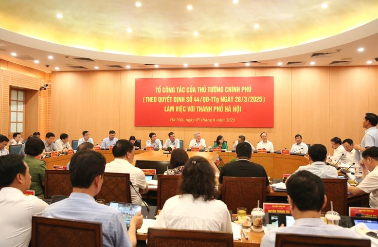 Phó Thủ tướng Thường trực làm việc với TP. Hà Nội về giải quyết các vụ việc khiếu nại, tố cáo kéo dài- Ảnh 3.