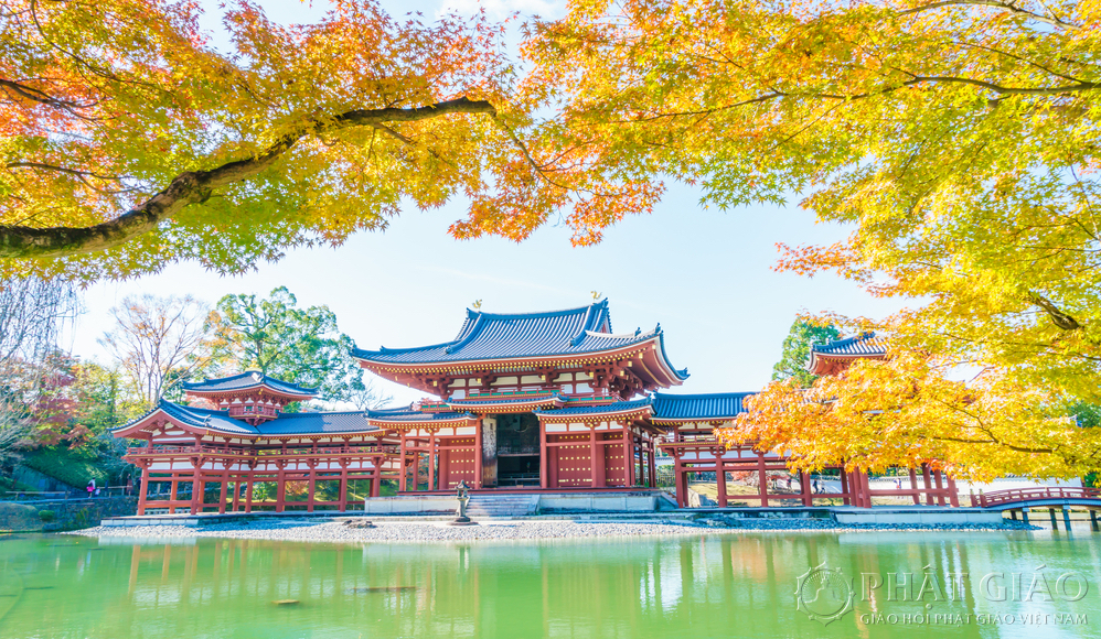 Xung quanh chùa bao bọc bởi những hồ cá Koi lớn với tổng diện tích 2 mẫu Anh. Ngoài ra còn có những khu vườn xinh đẹp được thiết kế bởi nhà thiết kế kiểu sân vườn nổi tiếng Nhật Bản Kiichi Toemon Sano.