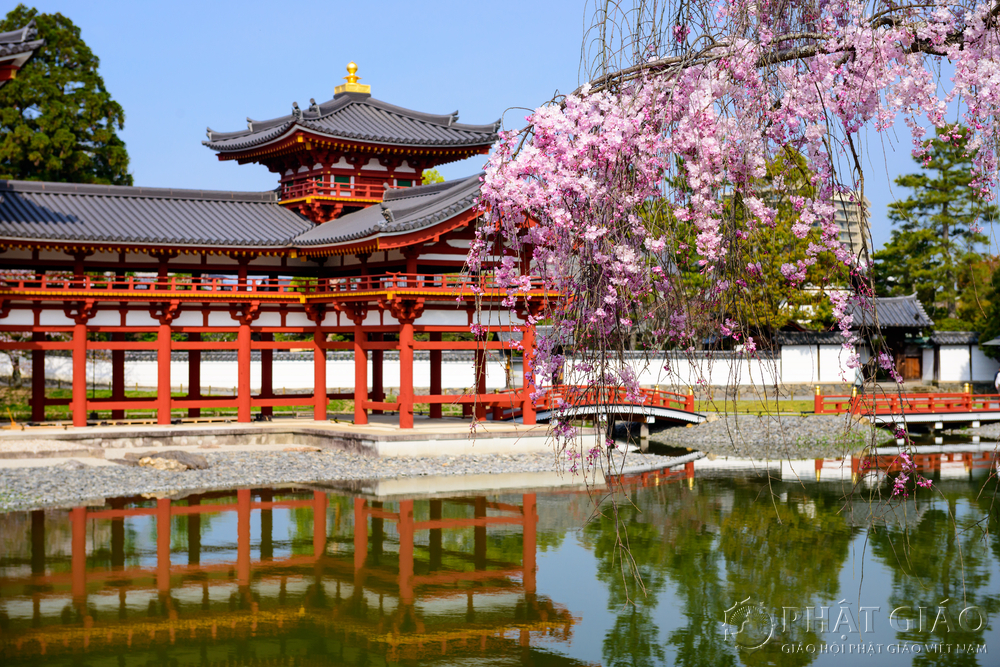 Bốn mùa hoa lá phong cảnh hữu tình. Chùa là nơi thu hút nhiều du khách Phật tử tới viếng cảnh chùa.