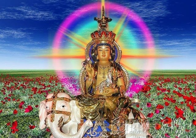 Samntabhadra (Tam-mạn-đà Bạt-đà-la) biểu thị từ tâm và Phật pháp. Ngài thường sánh cùng với Văn Thù Sư Lợi Bồ Tát và cả hai vị được coi là những cao đồ của Đức Phật Thích Ca Mâu Ni - từng là đệ tử trong các tiền thân Phật Thích Ca - Ngài là vị đầu tiên trong Ngũ Thiền Bồ Tát, tương ứng với Ngũ Thiền Phật của Bắc Tông.