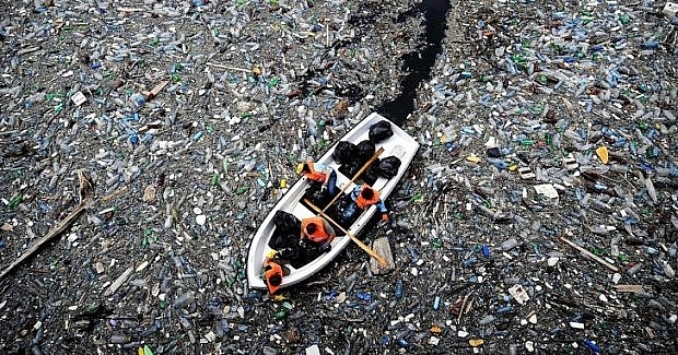 Hàng tấn rác thải tại biển Thái Bình Dương khiến cho nơi đây còn được gọi là bãi rác Thái Bình Dương lớn.