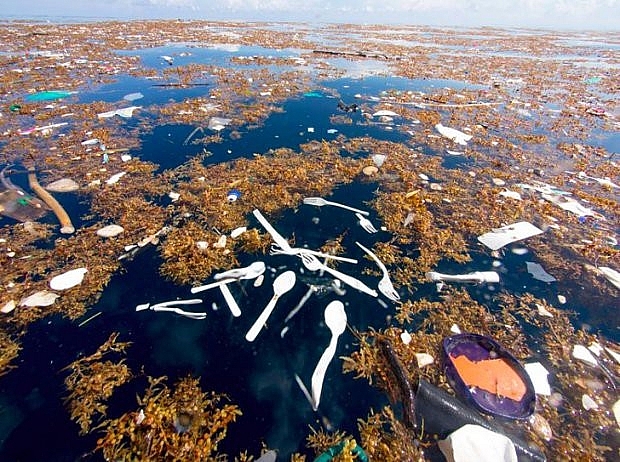 Một phần biển Caribe bị ô nhiễm nghiêm trọng. Nhìn bức ảnh này có lẽ nhiều người sẽ ước rằng giá như đồ nhựa chưa bao giờ được phát minh. Theo một nguồn thông tin từ Tổ chức Hành tinh xanh, số rác này có lẽ đến từ con sông Montigua lân cận, do mưa lớn đã bị trôi đến đây.