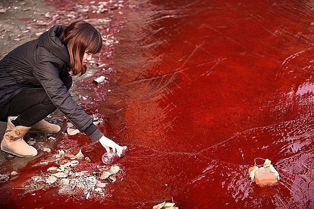 Một con sông bị ô nhiễm nặng nề do 2 nhà máy sản xuất chất hóa học đã trái phép xả nước thải qua đường ống nước xuống sông tại thành phố Lạc Dương, tỉnh Hà Nam, Trung Quốc khiến cho nước sông biến thành một màu đỏ và còn được gọi là “dòng sông chết”.