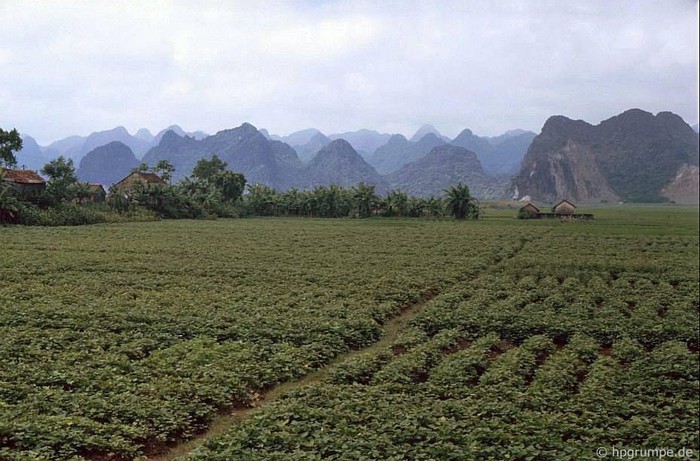 Khung cảnh trên đường đến Chùa Hương năm 1991. Nằm ở huyện Mỹ Đức, Hà Nội (năm 1991 thuộc tỉnh Hà Tây), Chùa Hương là một quần thể di tích gồm hàng chục đình, đền, chùa nằm trên một vùng núi non trùng điệp.