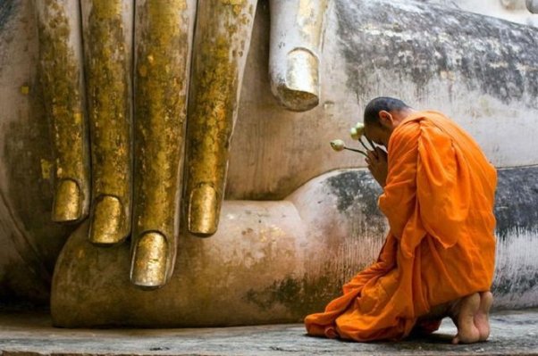 Đại Hắc, con của Ta, trái hẳn, không chạy theo dục lạc, không lay động như một ngọn núi đá.