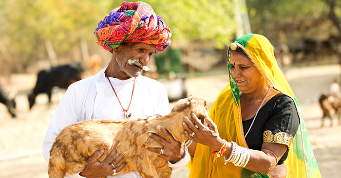 Với dân số khoảng 300.000 người, tập trung sinh sống chủ yếu ở vùng sa mạc Thar (bang Rajasthan, miền Tây Ấn Độ), bộ tộc Bishnoi luôn coi việc bảo vệ cây xanh và muông thú là một điều luật. Con người không có quyền chặt cây và càng không được sát hại động vật, những người anh em, đồng loại của mình.
