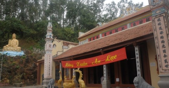 Tuy nhỏ nhưng chùa Long Cảm tự có cảnh trí rất đẹp với lối kiến trúc cổ kính và được bao bọc bởi cảnh quan của đồng ruộng và làng mạc thôn quê tạo cảm giác bình yên cho người dân địa phương cũng như du khách khi đặt chân đến ngôi chùa.