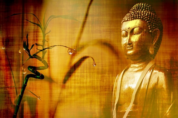 Chuyển Hóa Nỗi Đau Phản Bội Theo Lời Phật Dạy 4 Đức Phật Cho Rằng: “Nếu Trên Đời Này Có Cái Thứ Hai Giống Như Nghiệp Tình Ái, Thì Thế Gian Này Không Ai Tu Được, May Mà Chỉ Có Một Thứ Mà Đã Làm Điêu Đứng Loài Người”.