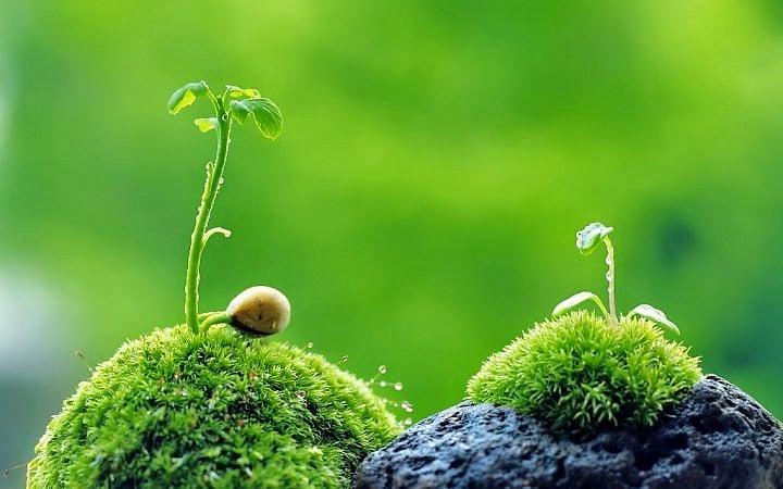 10 nghiệp lành mang lại phước đức 1