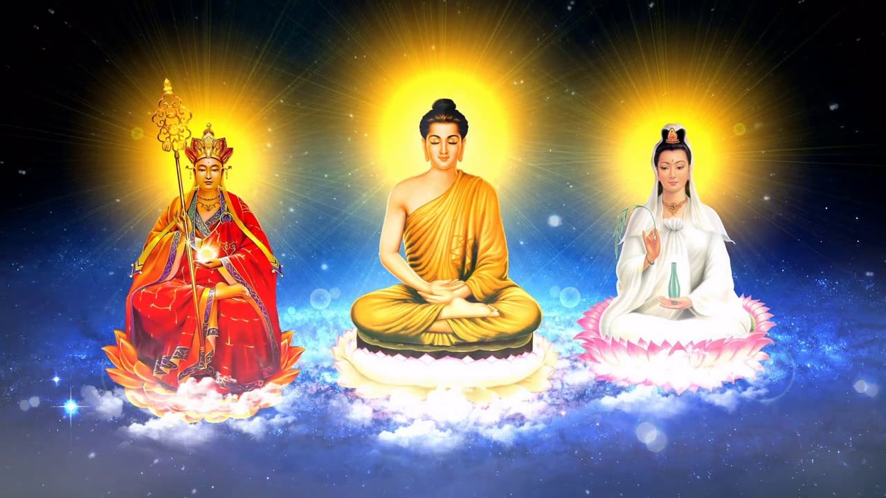 Bạn muốn tìm hiểu về 9 phép thiền quán trong đó có chín phép liên quan đến cái chết? Hãy cùng xem hình ảnh minh họa đầy sắc màu và sinh động, sẽ giúp bạn hiểu sâu hơn về tinh thần Phật giáo với chủ đề này.