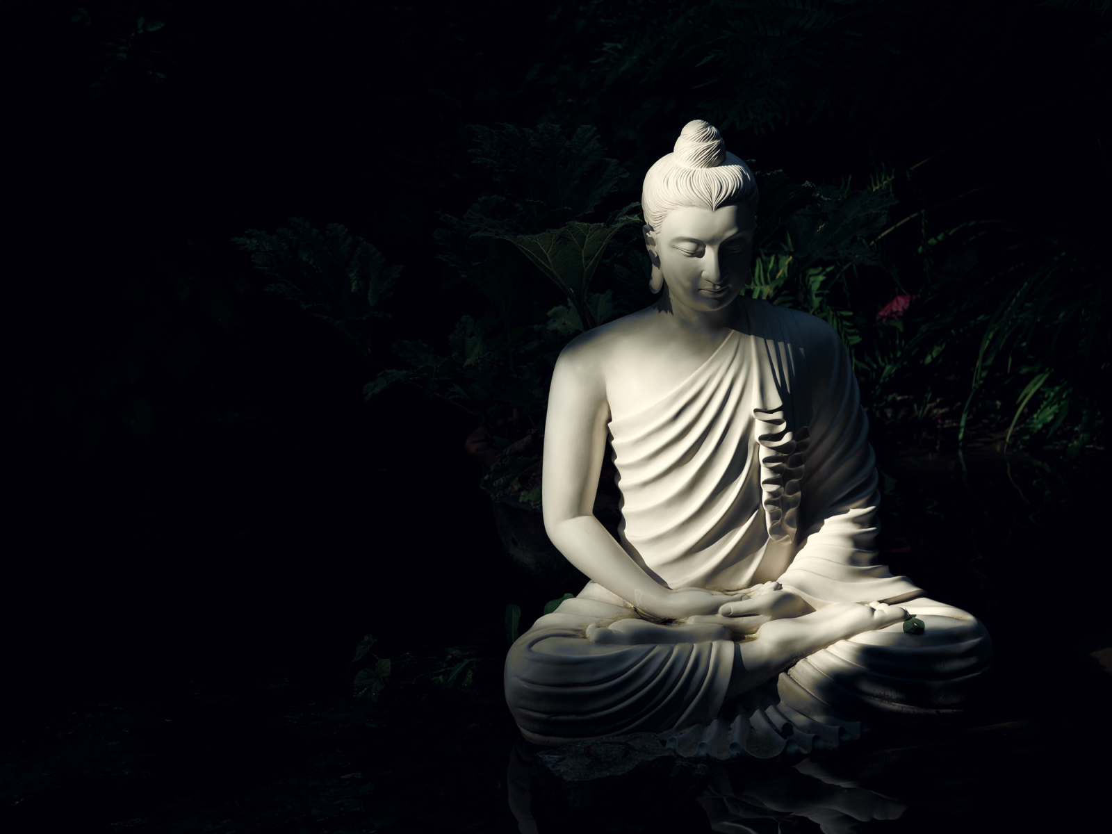Đức Phật với những phương pháp tu tập.