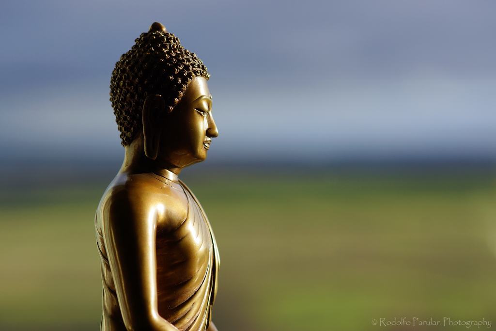 Nhằm hướng dẫn đệ tử tu tập đạt được hiệu quả tốt nhất, Ðức Phật đã linh động vận dụng trí tuệ trình bày bằng những ví dụ vừa thực tế, vừa sống động, mang tính hấp dẫn và đầy tính khả thi.