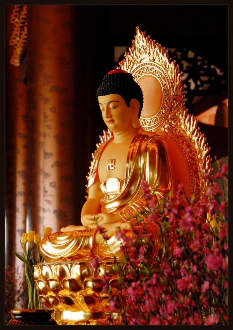 Bộ sưu tập ảnh Phật thần thái