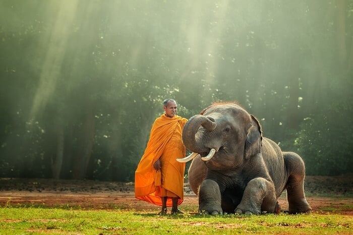 Nếu bản thân mỗi người đang bị giam giữ trong những Địa Ngục tâm lý như Địa Ngục “vạc dầu sôi”, “ngục mọt ăn”,… thì hãy tự thức tỉnh, nhận thức được rằng mình đang đau khổ vì những ngục tù do chính bản thân của chúng ta xây dựng nên.