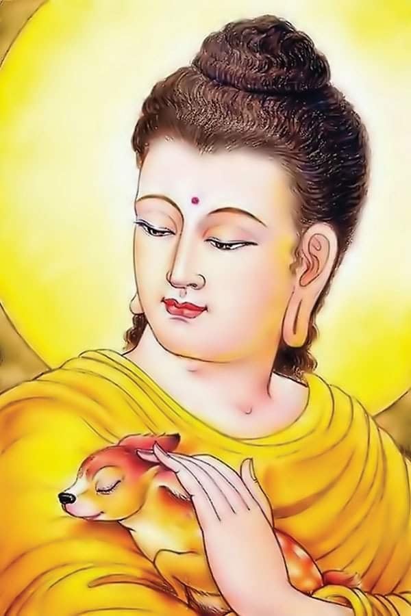 Tu Theo Phật Trước Hết Phải Hiểu Phật (Ii) 9 Tu Là Quán Sát Biết Rõ Mọi Trạng Thái Của Tâm. Khi Giận Biết Đang Giận, Cơn Giận Tự Nhiên Giảm Xuống Và Tan Biến Từ Từ.