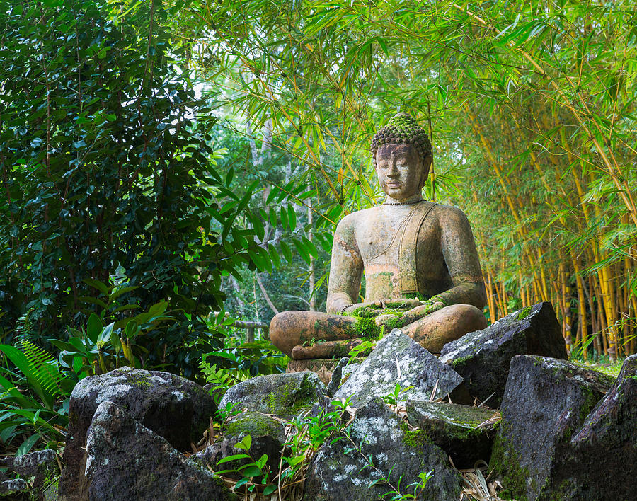 Theo đạo Phật, vấn đề môi trường thì không thể lãng tránh được.