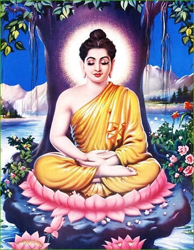 Trong các chùa, không chỉ tại Việt Nam, mà còn cả các nước trên thế giới, các pho tượng Phật thường ngồi trên bông sen.