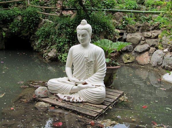 Lời Phật Dạy Sống Ngay Giây Phút Hiện Tại 5 Phật Dạy: Quá Khứ Không Truy Tìm, Tương Lai Không Ước Vọng, Chỉ Có Pháp Hiện Tại, Tuệ Quán Chính Là Đây.