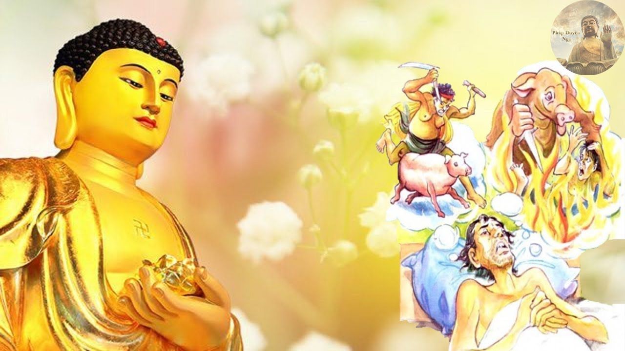 Tôn trọng mạng sống của chúng sinh. Mỗi người sinh ra trong cuộc đời này đều có quyền được sống, không ai có quyền cướp đi mạng sống của kẻ khác bằng bất kỳ hình thức nào.