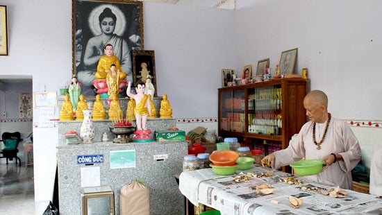 Sư cô Thiện bốc thuốc cho người bệnh.