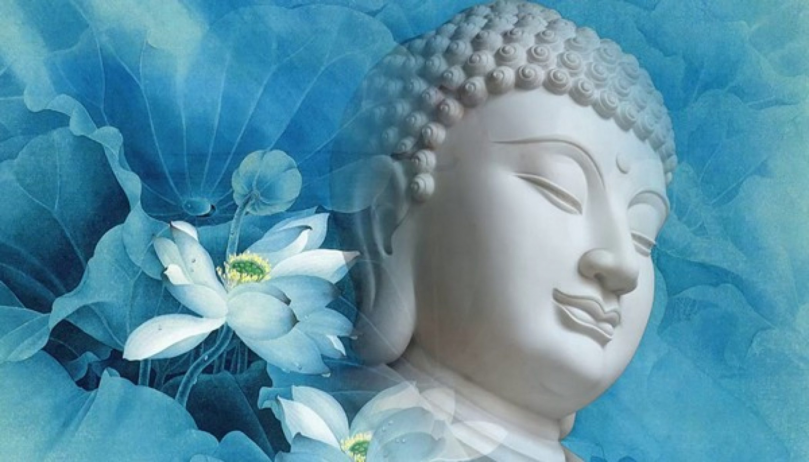 Hồi tâm nhớ lời dạy của đức Phật, lấy nóng giận để đối xử với nóng giận thì chỉ đẩy nóng giận lên cao.