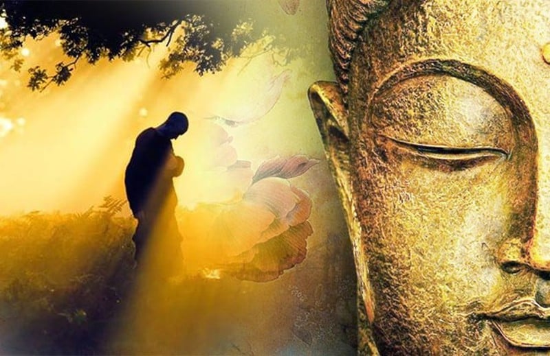 An Lạc – Trạng Thái Cần Có Để Được Hạnh Phúc 4 Để Khổ Đau Không Phải Leo Thang, Để Thân Tâm Mình Được Thanh Thản, Ta Nên Ký Kết Hiệp Ước Sống Chung Với An Lạc.