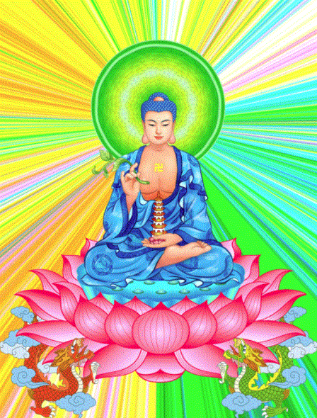 Bổn nguyện của Dược Sư Như Lai là trị tất cả trọng bệnh phiền não vè thân và tâm của chúng sinh, cứu độ chúng sinh ra khỏi sinh tử khổ đau.