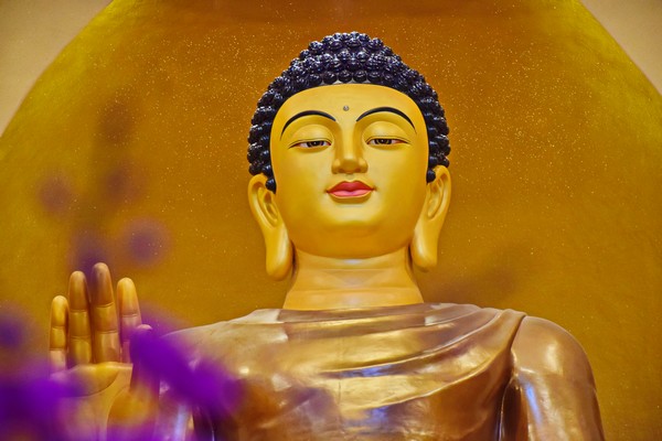 Học Phật và Tu Phật là hai việc khác nhau.