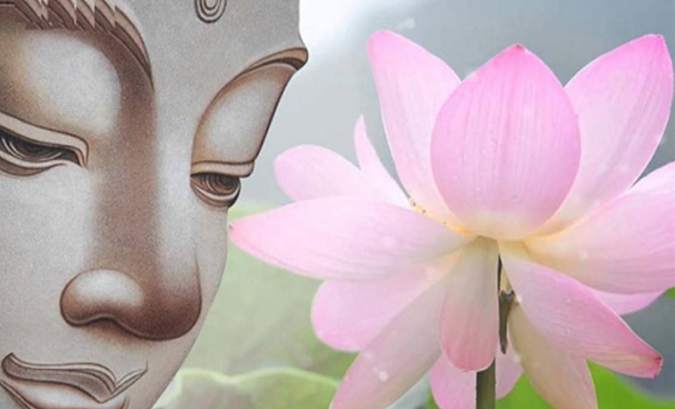 Đạo Phật dùng hoa sen làm hình ảnh tượng trưng cho người tu hành chân chính đã vượt khỏi ngũ dục thế gian mà thành tựu đạo giác ngộ, giải thoát hoàn toàn.