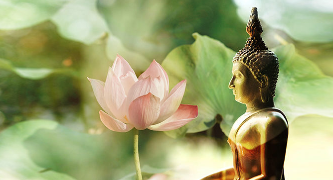 Tâm Phật sẽ hiện tiền khi ta biết sống trong tỉnh giác vì không bị trần lao mê hoặc.