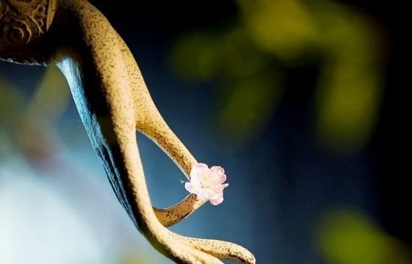 Người bố thí, cúng dường sẽ được quả báo giàu sang, phú quí. Ngược lại, kẻ gian tham, keo kiệt phải chịu khó khăn, nghèo đói.