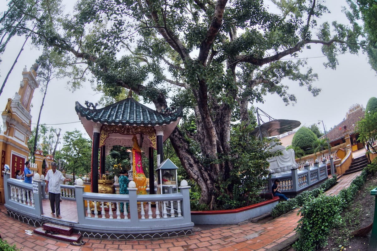 Trước sân chính điện có đặt tượng Quán Thế Âm Bồ Tát dưới bóng cây bồ đề.