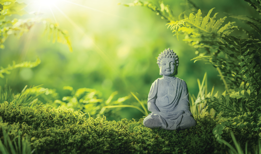 Sự phát triển tương lai của nhân loại cần được hướng dẫn bởi Chánh kiến và Chánh tư duy (có nghĩa là Trí tuệ) như những gì đức Phật đã dạy chúng ta, và đạo đức môi sinh cần được xây dựng trên nền tảng Chánh ngữ, Chánh nghiệp, Chánh mệnh và Chánh niệm.